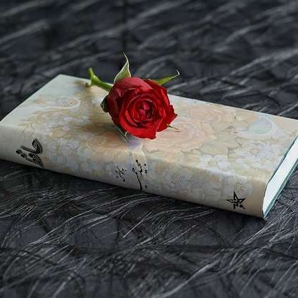 Crop_20211119_094757_7755